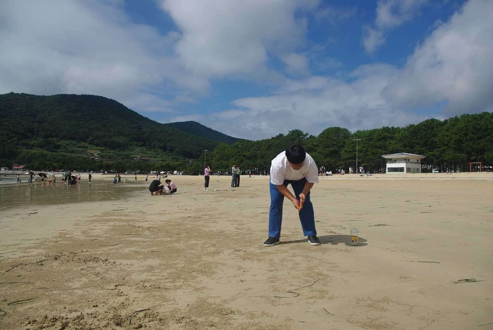 해변에서 생물 채집