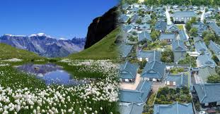 디지털 관광주민증 발급