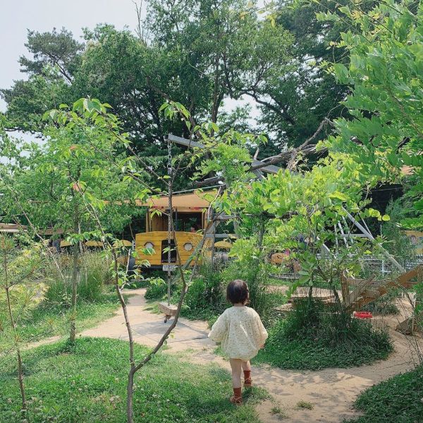 예크식물원 관람 꿀팁