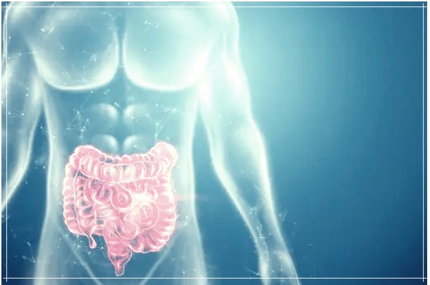 장 마비 증상, 원인 및 해결책.