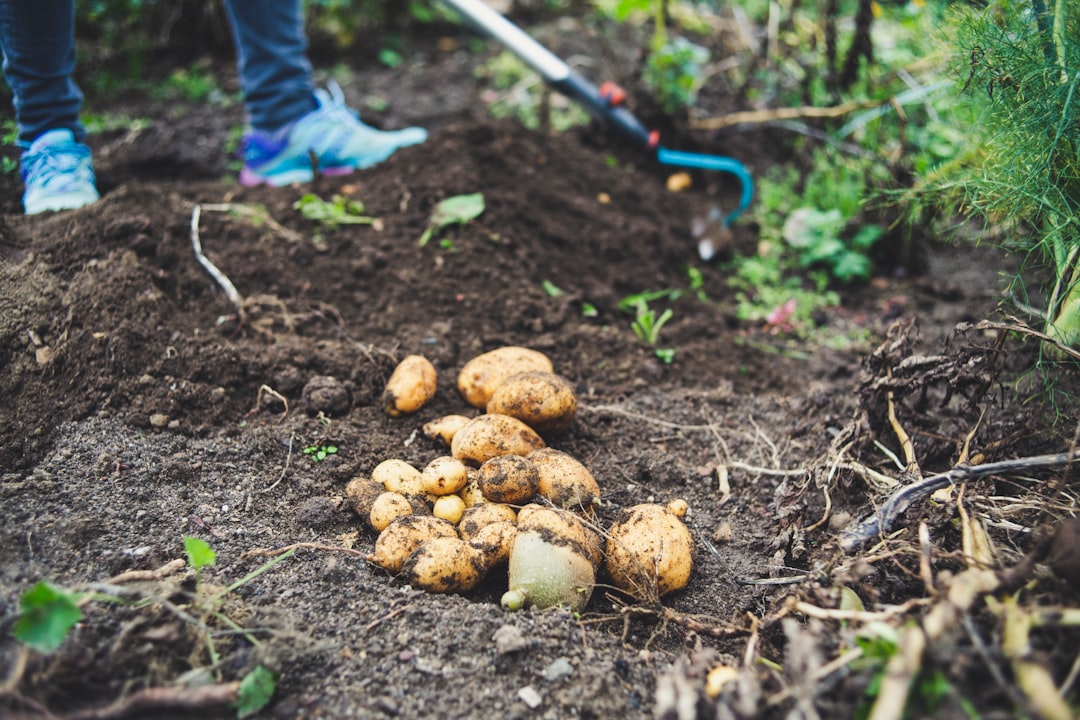 Self-sufficiency