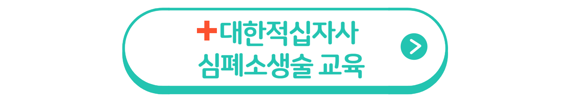 5분만에 생명을 구하는 비법 : 심폐소생술 방법부터 ~ 자격증까지