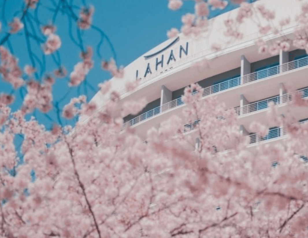 경주호텔추천