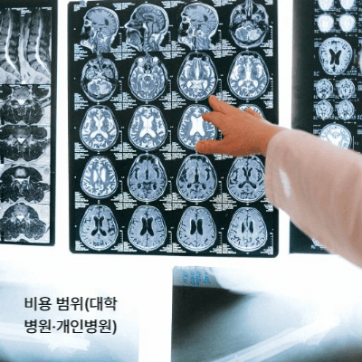 뇌혈관 스텐트&middot;색전술 비용 총정리｜보험 적용&middot;부작용&middot;회복 (2025)