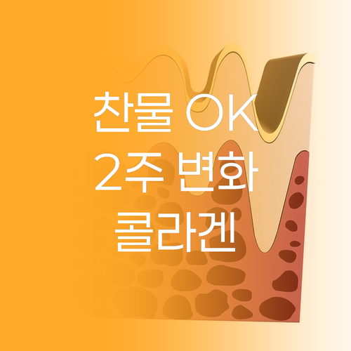 찬물에도 잘 녹는 바이탈프로틴 콜라겐..