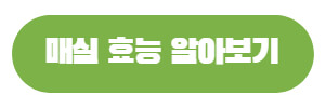 매실