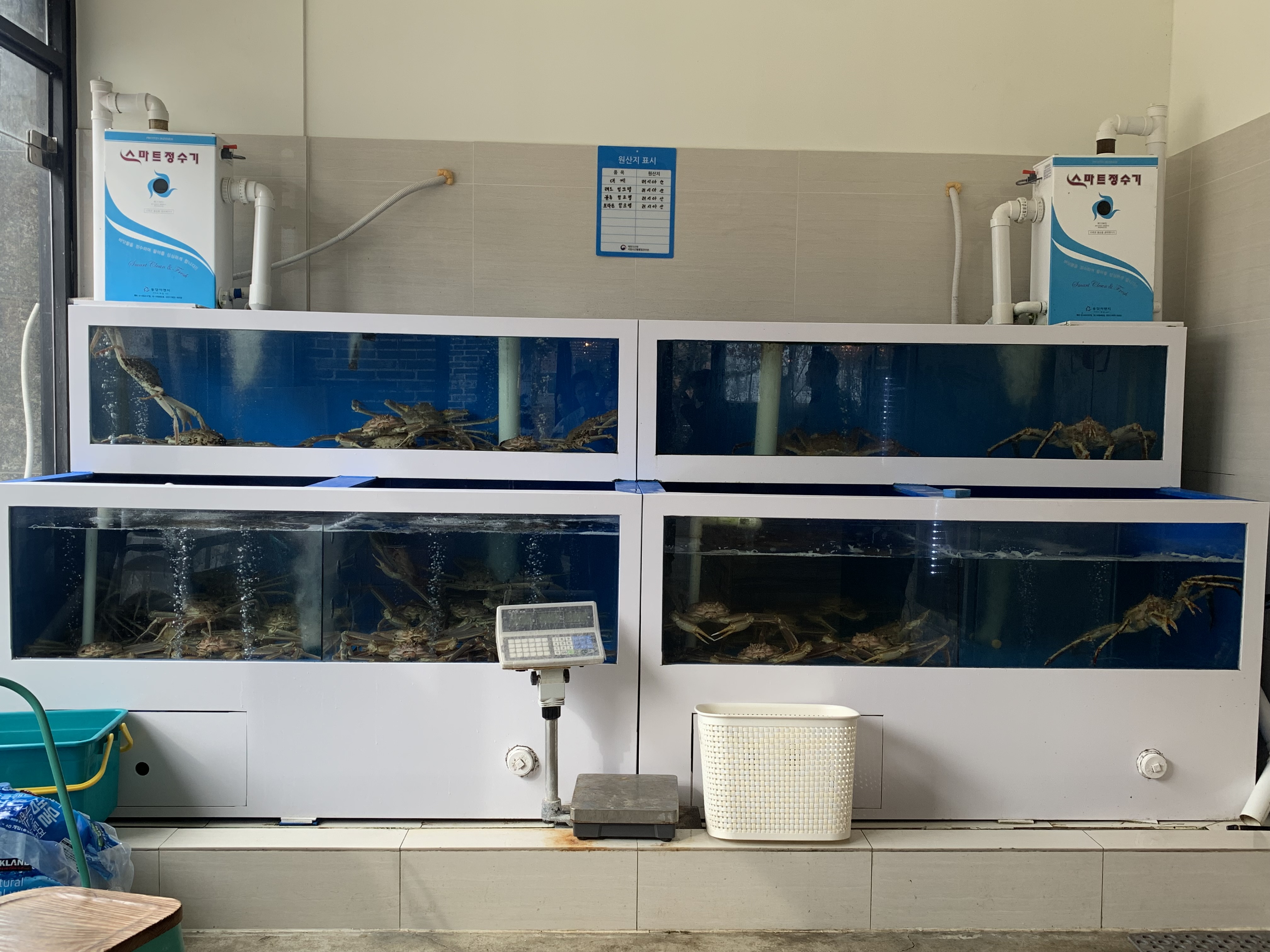 영종도 킹크랩 맛집 잇츠크랩 킹크랩 대게 맛집 내돈내산 방문후기