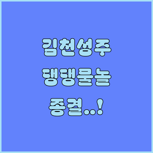반려동물 동반부터 물놀이까지 김천 성..
