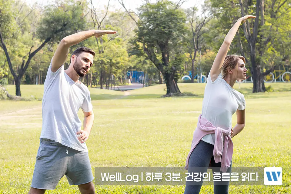 햄프씨드 효능 단백질 오메가3 항산화