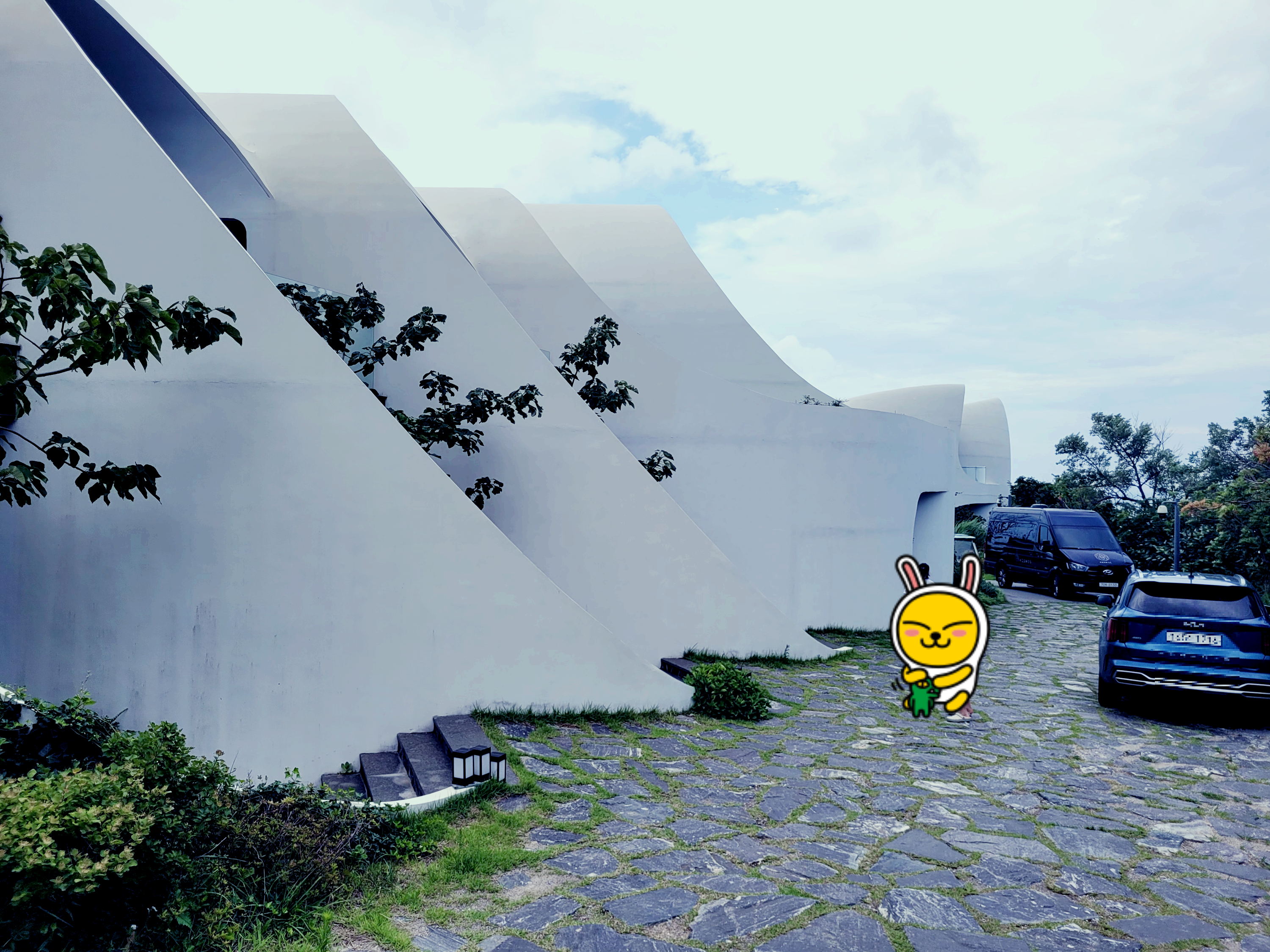 코스모스
