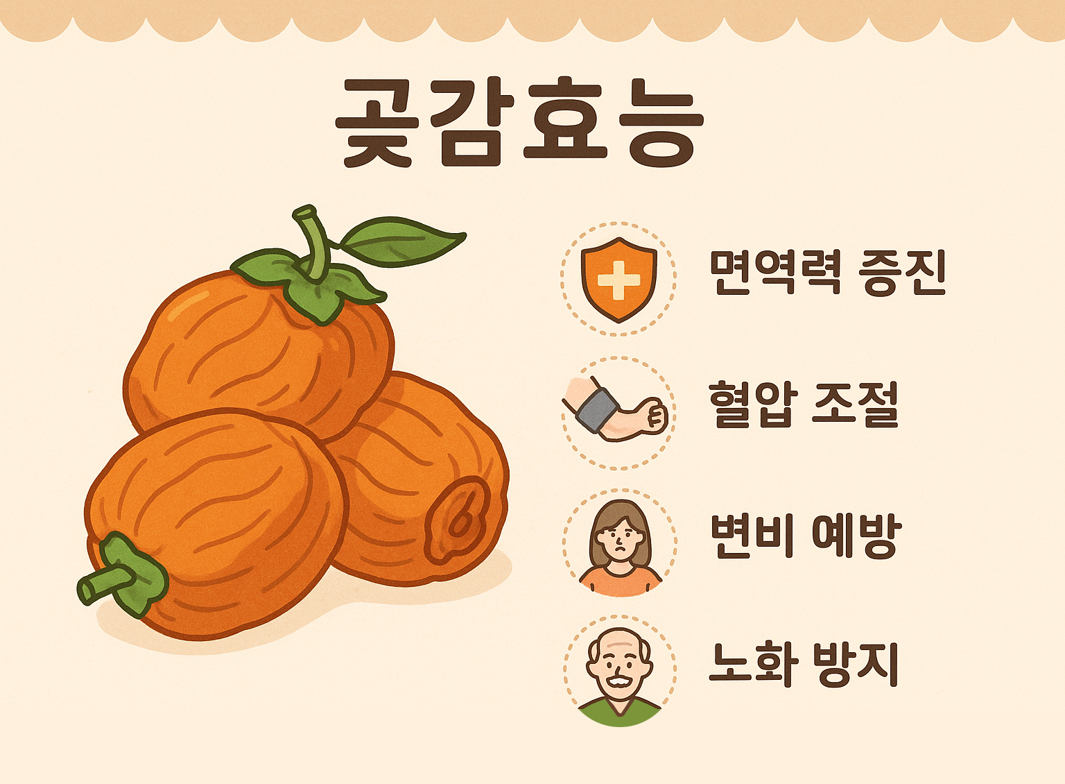 곶감효능