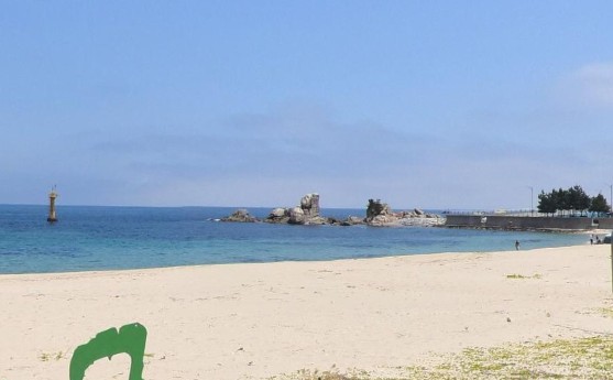 강원도 고성 공현진항 낚시 포인트, 어종 및 추천 채비, 금어기