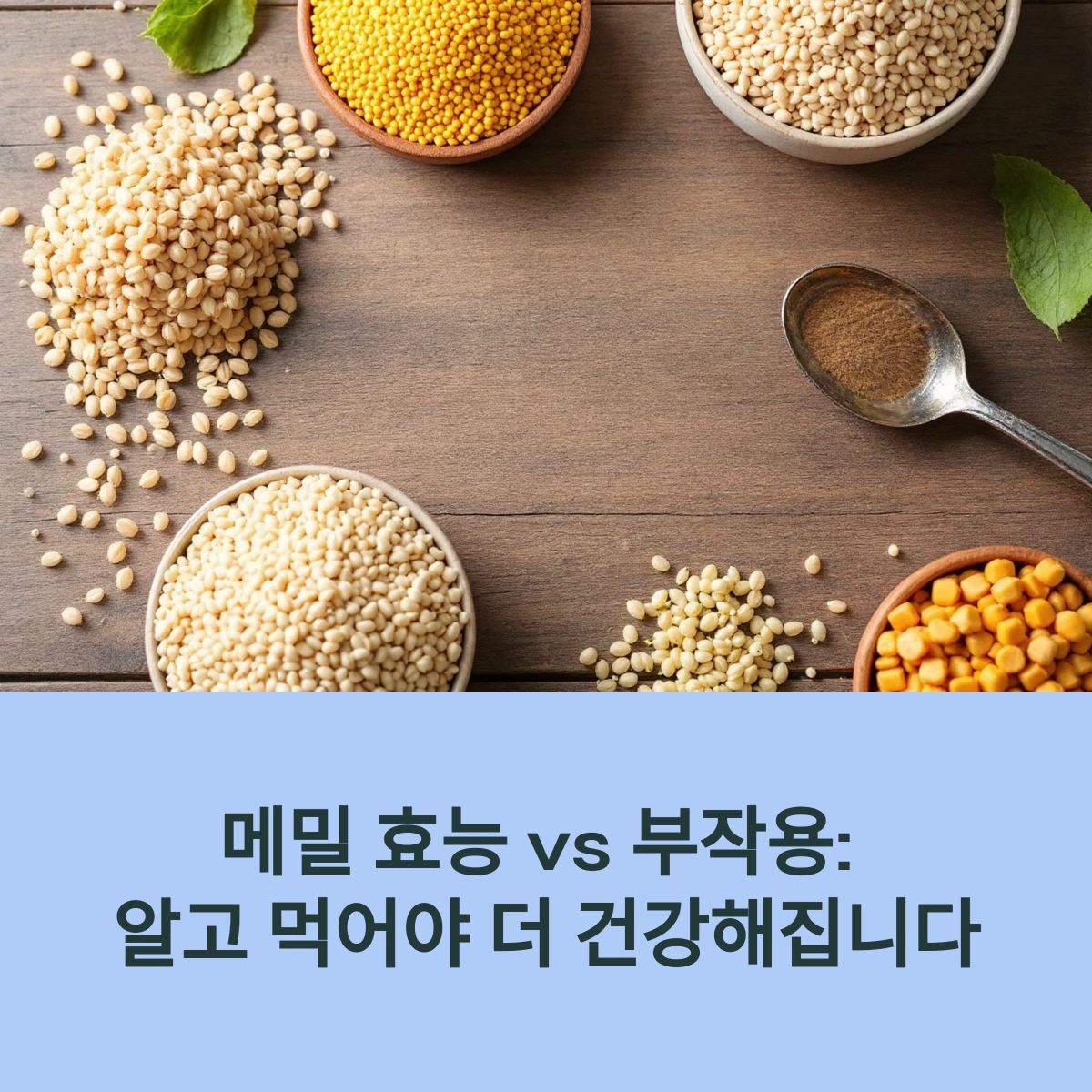 메밀효능-썸네일