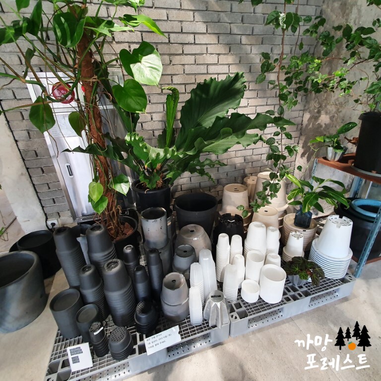 디앤디파트먼트