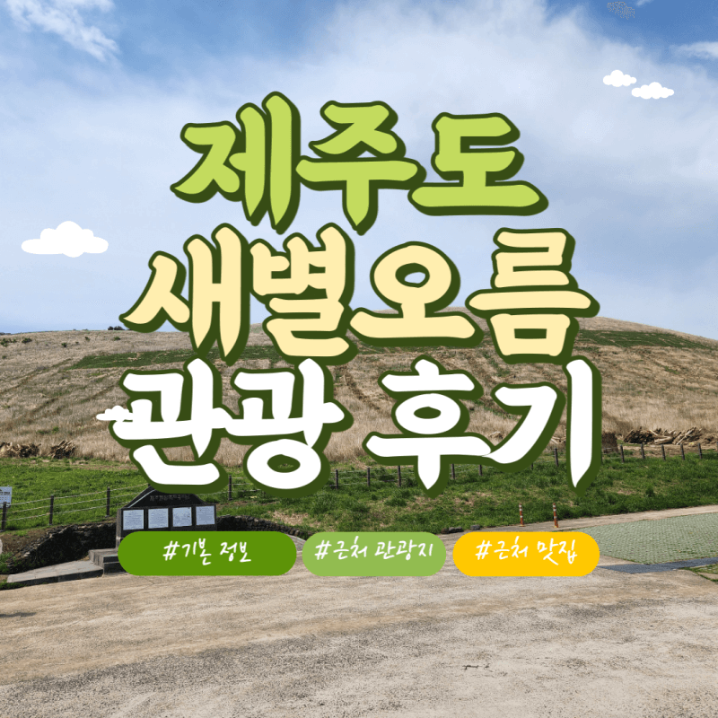 제주도-새별오름-썸네일