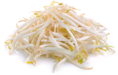콩나물