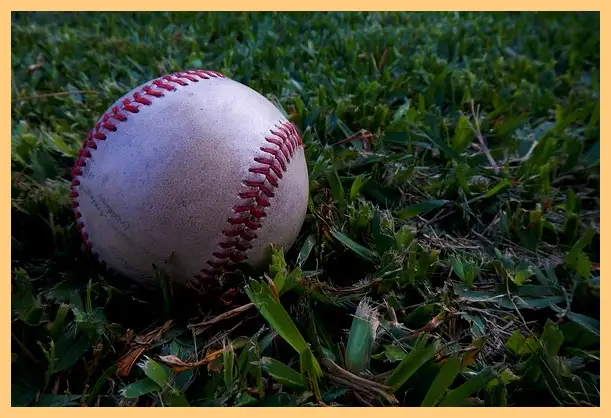 야구 결과 오늘 한국 도미니카 (하이라이트 동영상)