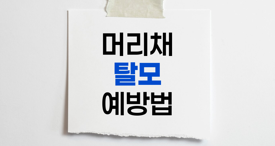 머리채 잡고 싸우면 탈모 발생? 모낭 손상과 예방법