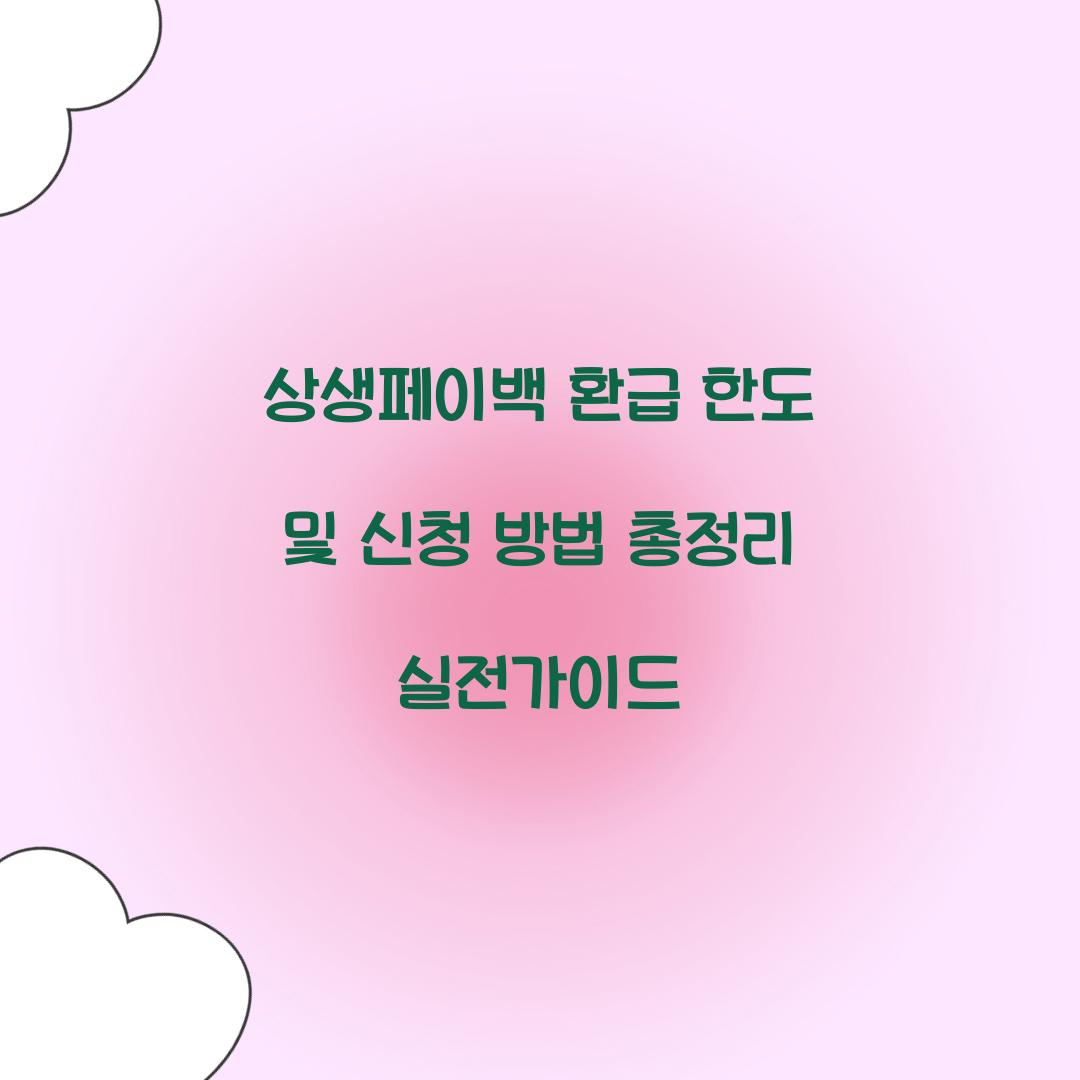 상생페이백