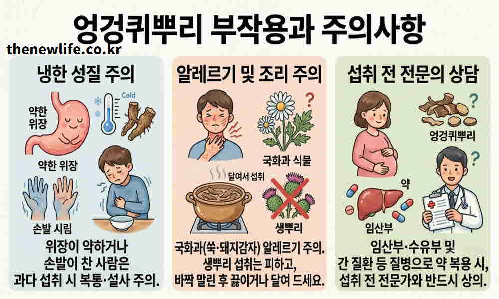 엉겅퀴뿌리 효능 부작용