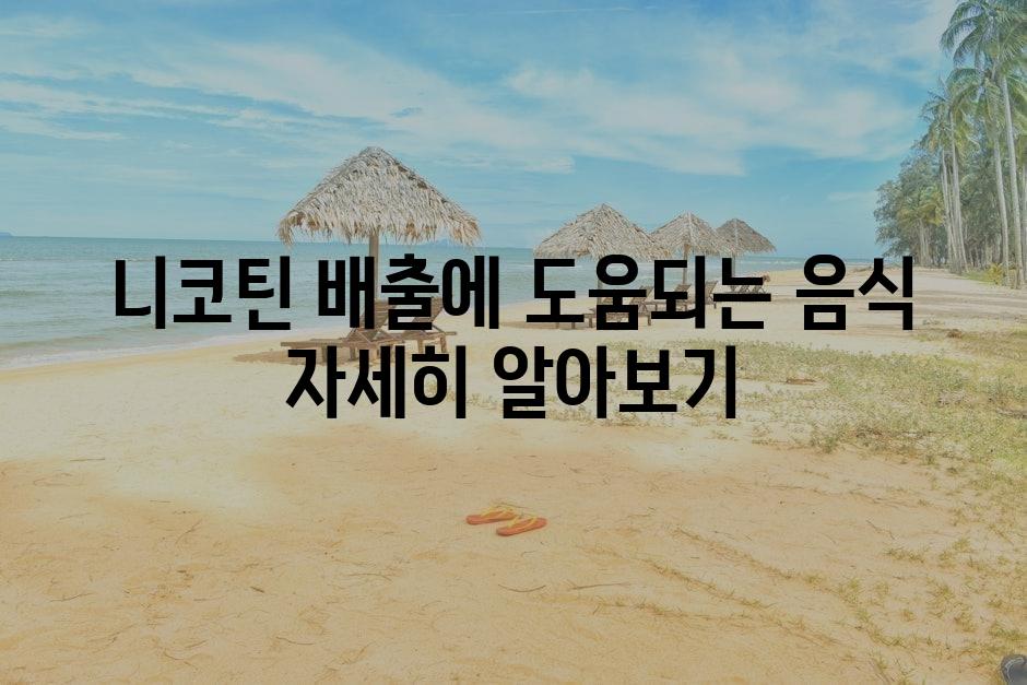 샘플 (87)