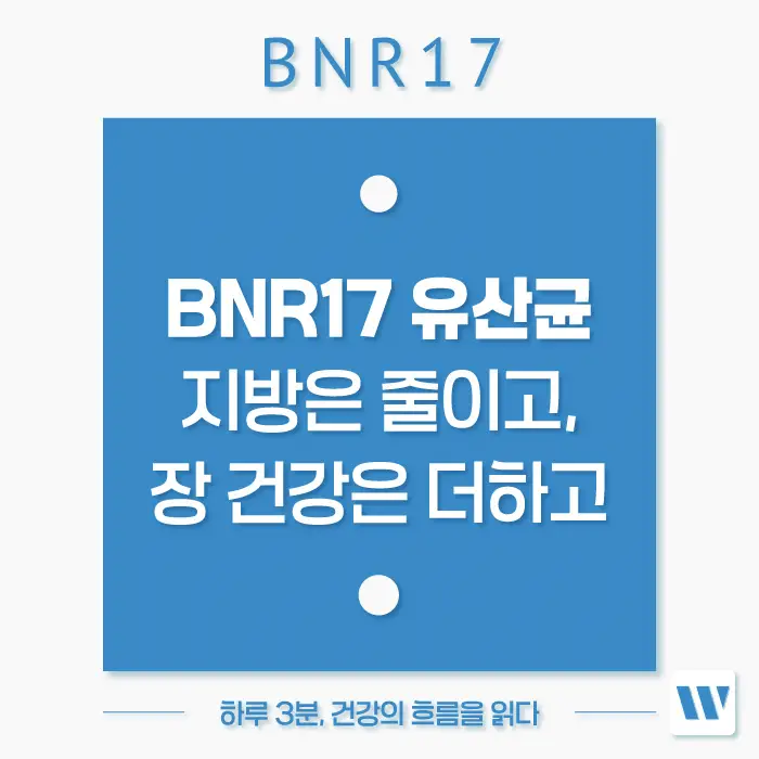 BNR17 유산균 효능, 복용법