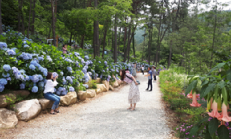 해남 포레스트 수목원