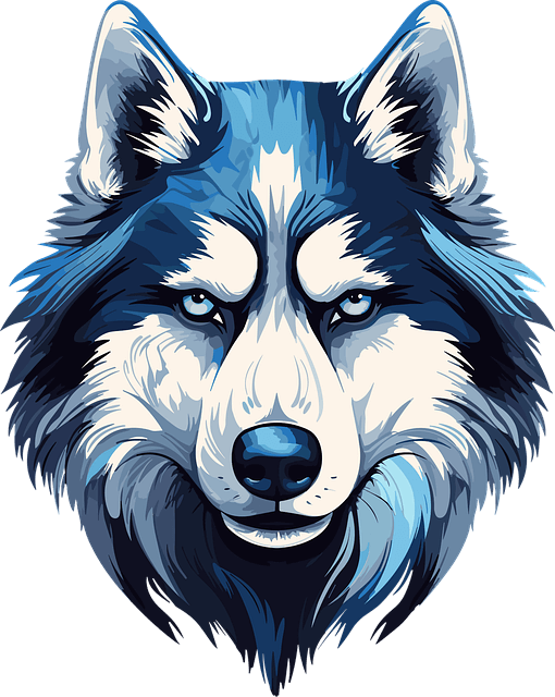 을사년 신년운세