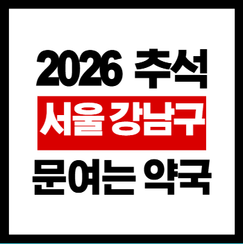 서울강남구문여는약국의료기관