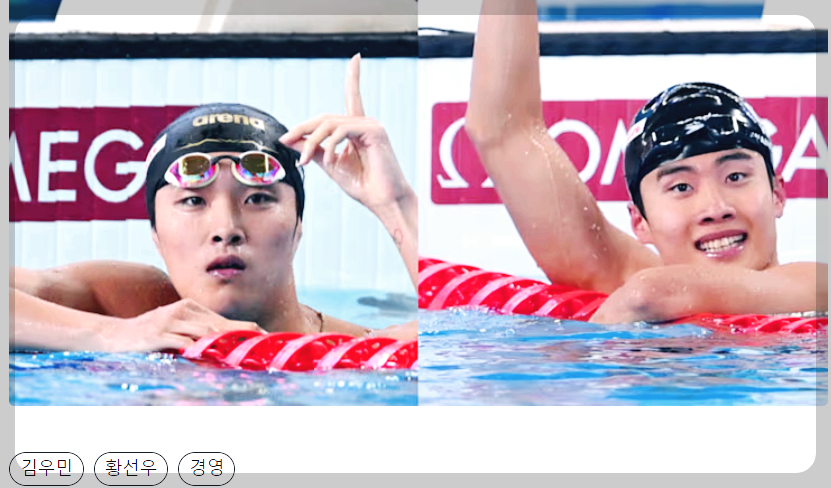 파리올림픽 한국출전 종목