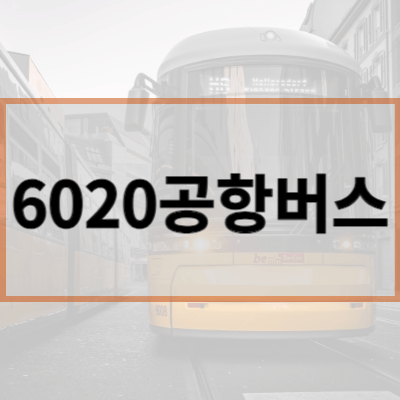6020공항버스