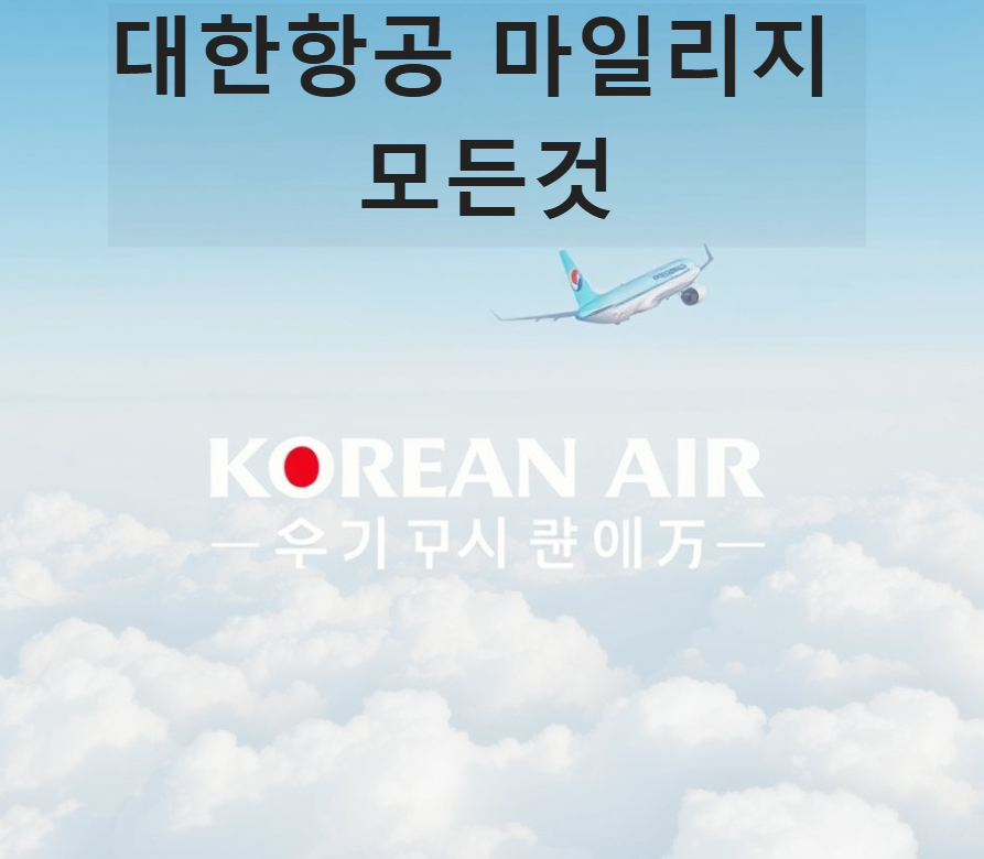 대한항공 마일리지 사용방법