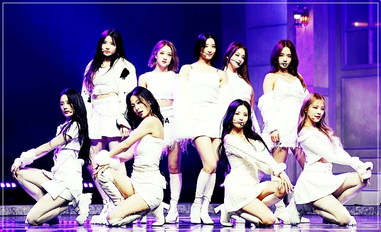 워터밤 공연 