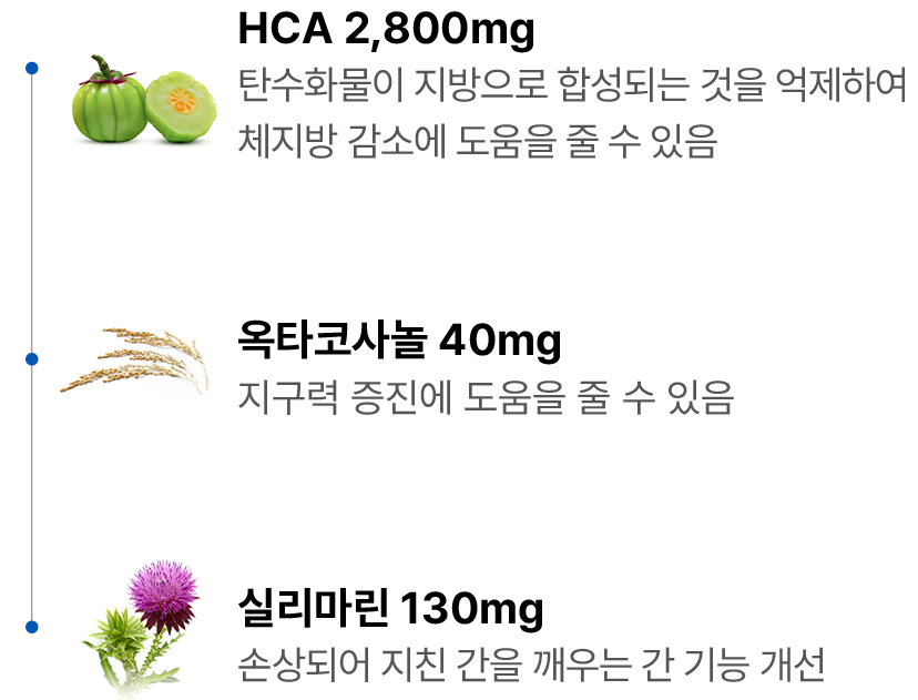 파란통-다이어트-식약처-성분