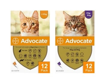 고양이-심장사상충약-애드보킷