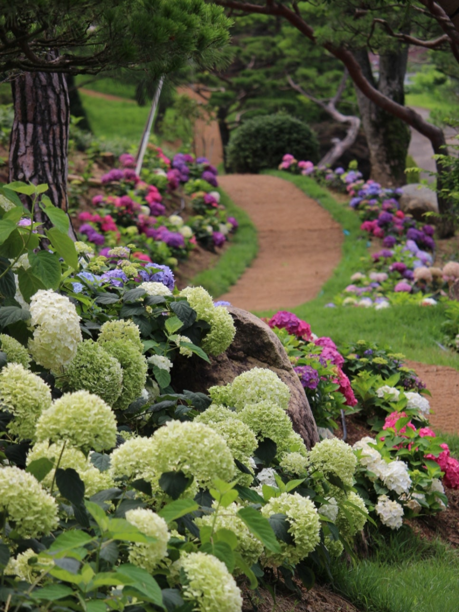 특색있고 아름다운 민간 정원 30선 추천 여행 - 07. 청주 공간정원