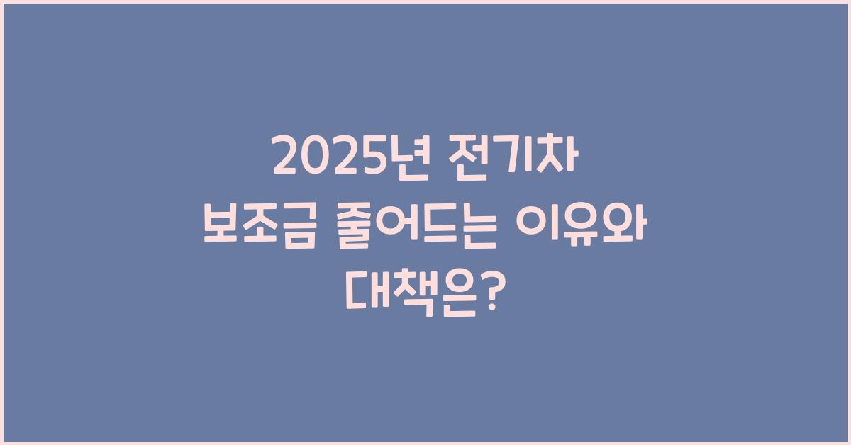 2025년 전기차 보조금 줄어드는 이유