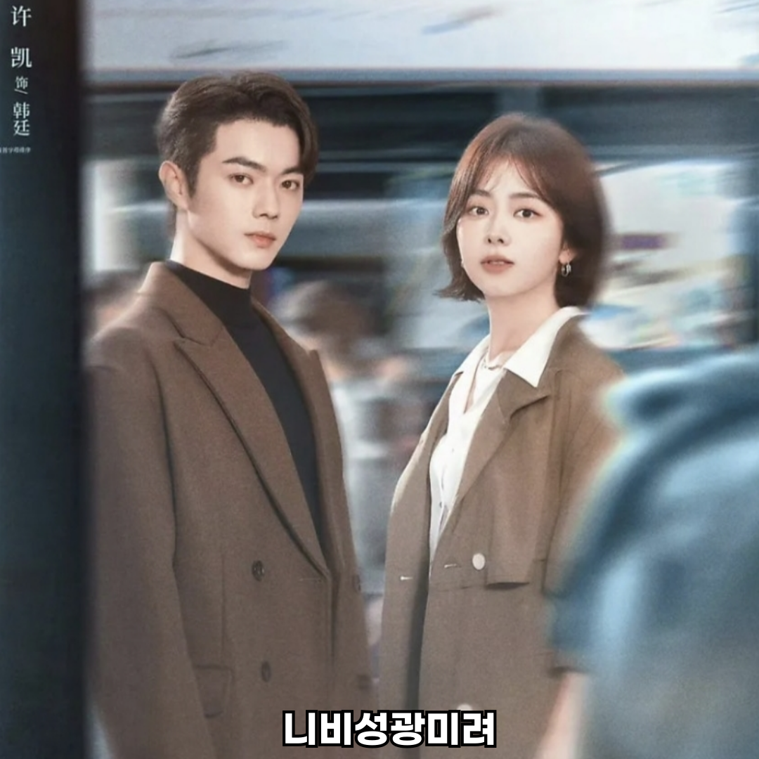 니비성광미려 중드 로맨스