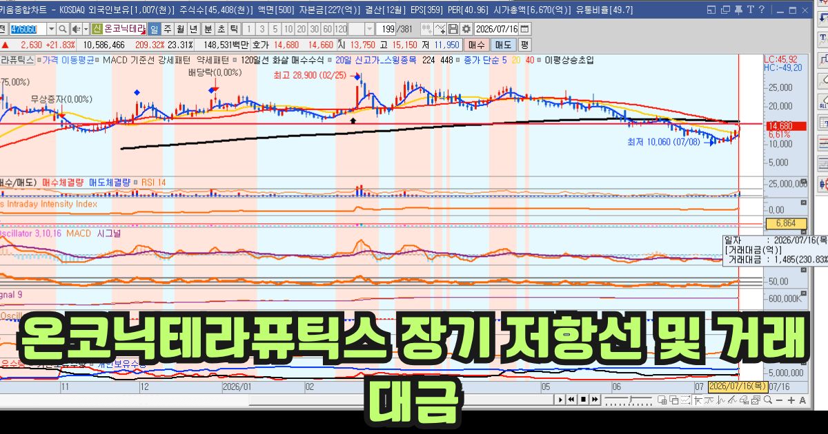 온코닉테라퓨틱스 일봉 차트 분석