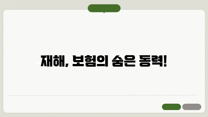 자연재해와 그에 따른 보험 적용