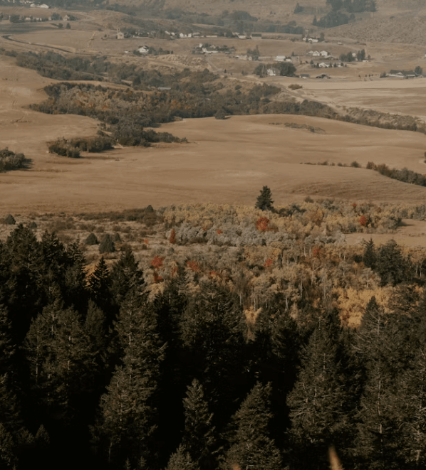 말보로 소비뇽 블랑, 와인 초보를 위한 완벽 가이드