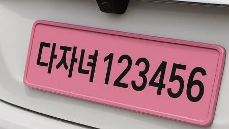 핑크색 번호판 정체? 다자녀 차량 특별 혜택 도입 가능성 문제점 총정리 2