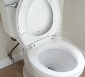 만성 방광염 증세 증상 원인 재발방지법