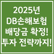 DB손해보험 배당정보 정리
