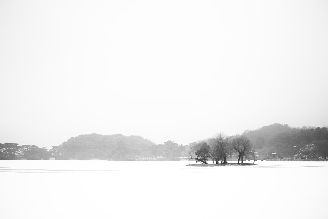 Jecheon