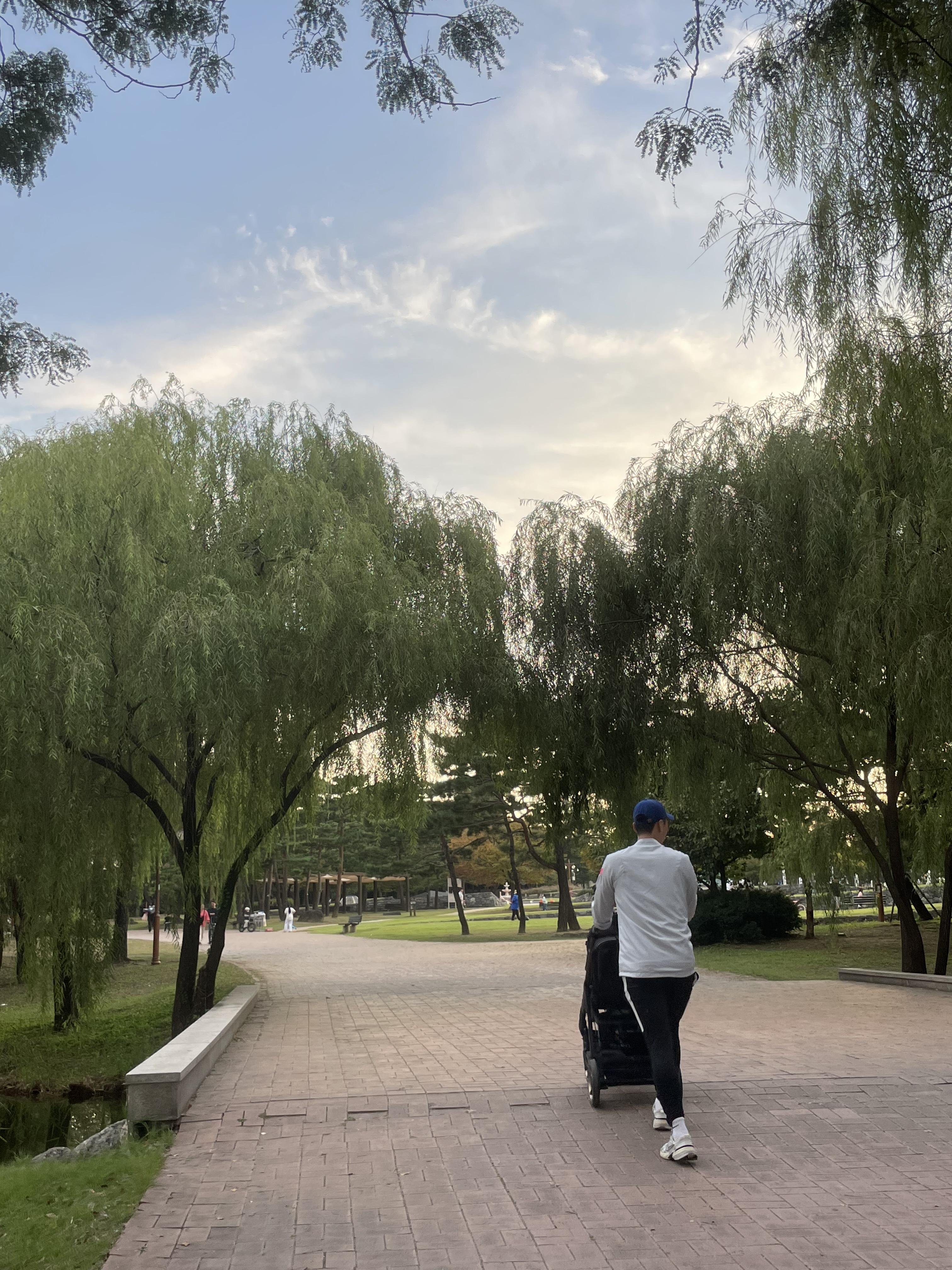 상암 월드컵공원 평화광장(평화의공원) 난지한강공원