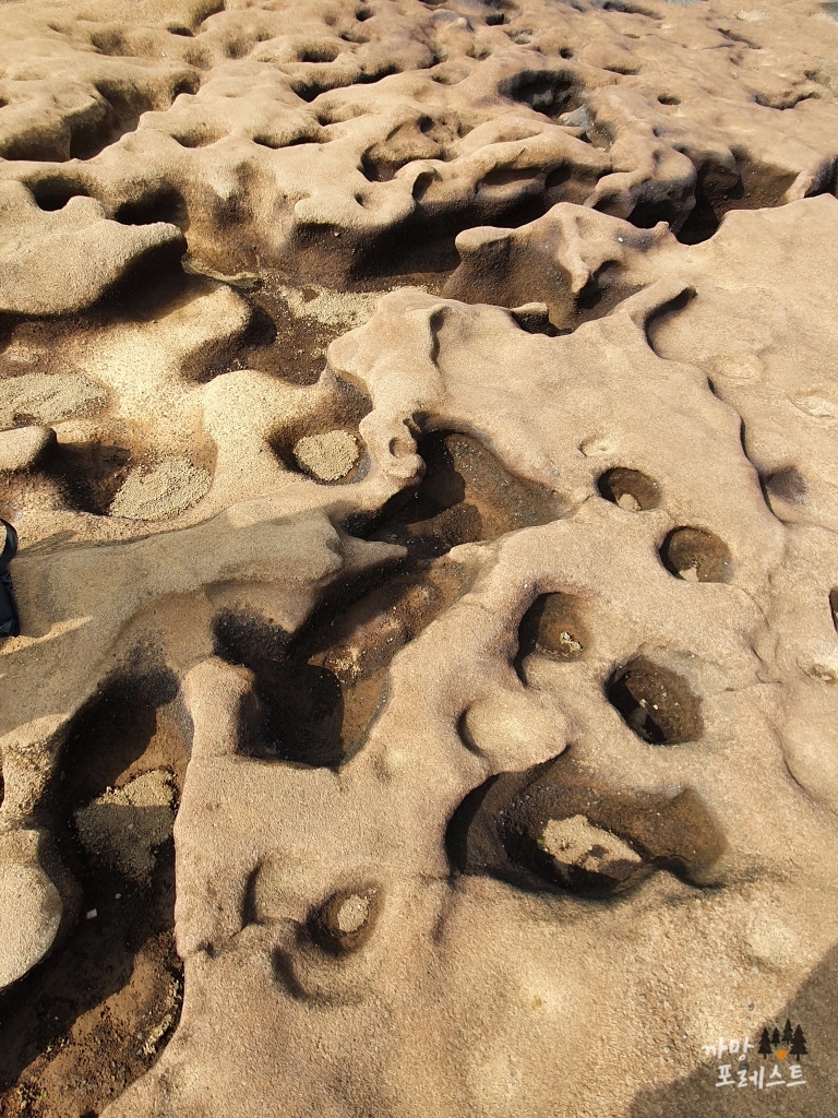 사계 해변 구멍