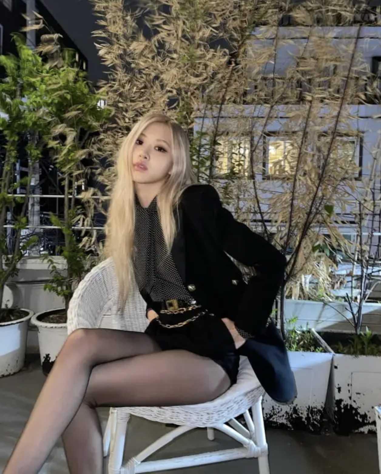 로제24