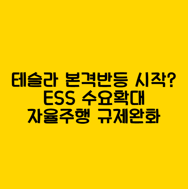 테슬라 반등