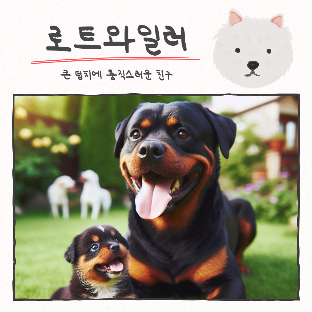 루원 센트럴 동물의료센터 로트와일러